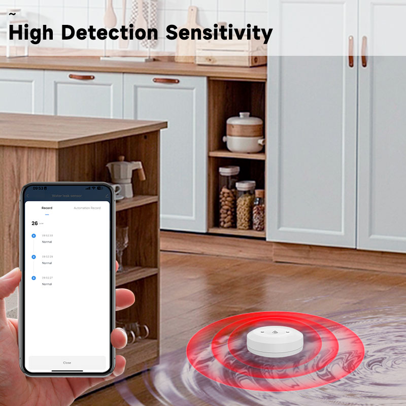 Tuya Zigbee2mqtt Water Immersi - Water Alarm Sensor 리뷰 및 가격