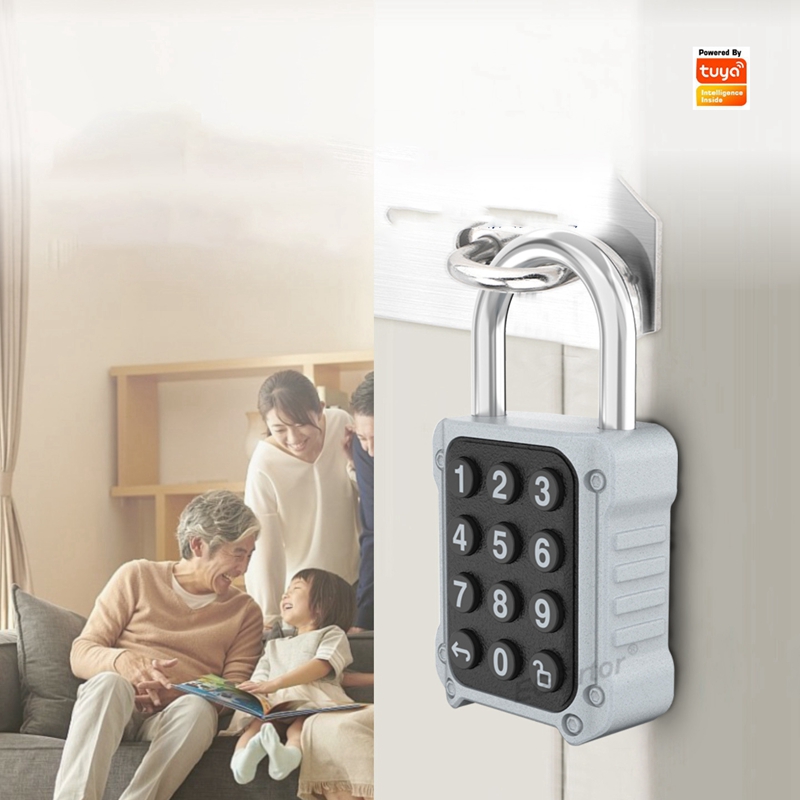 EGFirtor Tuya APP Electronic S - Lockbox Key Secure 리뷰 및 가격