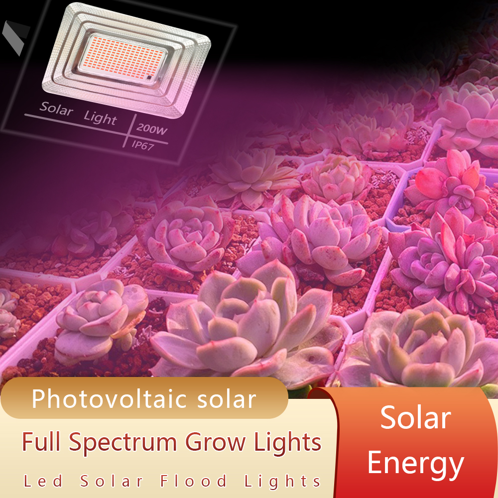 LED Full Spectrum Phyto Lamp 2 - Power Outage Light 리뷰 및 가격